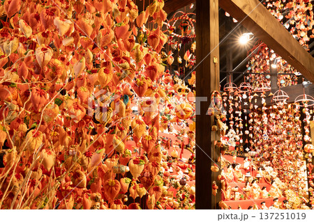 （静岡県）文化公園雛の館・雛のつるし飾り 137251019