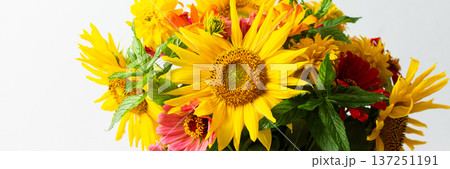Flowers in a vase fill a space with color and texture. Sunflowers, zinnias, and greenery are mixed together. Light brightens the scene, showcasing their vibrant colors, banner Flowers in a vase fill a space with color and texture. Sunflowers, zinnias, and greenery are mixed together. Light brightens the scene, showcasing their vibrant colors, banner 137251191