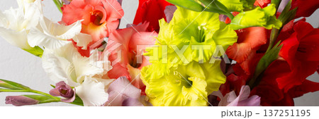 A vase holds a variety of colorful gladiolus including red and white blooms. The arrangement sits on a clean surface, adding a touch of nature to the indoor space, banner A vase holds a variety of colorful gladiolus including red and white blooms. The arrangement sits on a clean surface, adding a touch of nature to the indoor space, banner 137251195