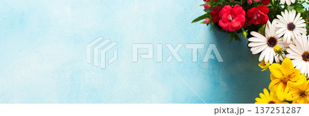 Colorful spring flowers decorate a home balcony, creating a vibrant atmosphere. This scene showcases various blooms against a bright blue background, enhancing the outdoor space charm, banner 137251287