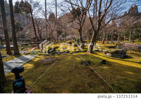 京都のしょうざん日本庭園の風景 京都のしょうざん日本庭園の風景 137251314