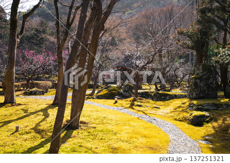 京都のしょうざん日本庭園の風景 京都のしょうざん日本庭園の風景 137251321