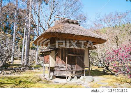 京都のしょうざん日本庭園の風景 京都のしょうざん日本庭園の風景 137251331