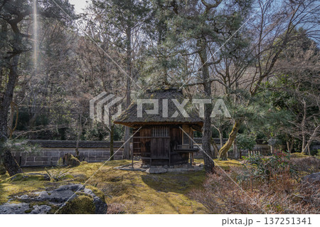 京都のしょうざん日本庭園の風景 京都のしょうざん日本庭園の風景 137251341