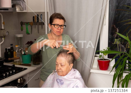 A woman is cutting her mother hair in the kitchen while they enjoy time together. The setting features plants and flowers, creating a lively atmosphere for this home activity A woman is cutting her mother hair in the kitchen while they enjoy time together. The setting features plants and flowers, creating a lively atmosphere for this home activity 137251384