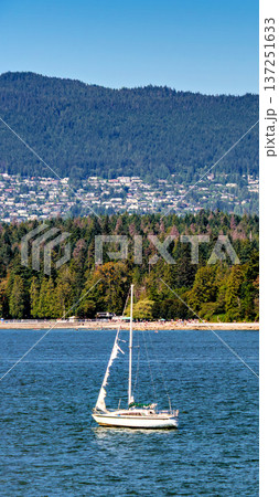 Sailing yacht with ruptured sail in emergency anchored in English bay in Vancouver 137251633