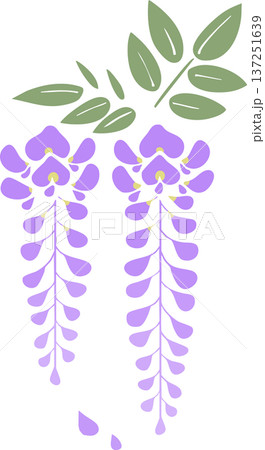 シンプルな藤の花イラスト|春の和風フラットベクター素材 シンプルな藤の花イラスト|春の和風フラットベクター素材 137251639