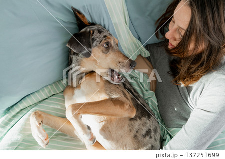 sleepy spotted Dog lies on bed under blanket with its owner, young woman is asleep.  137251699