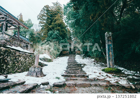 福井の平泉寺白山神社 福井の平泉寺白山神社 137251802