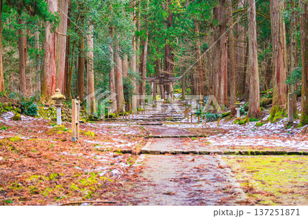 福井の平泉寺白山神社 福井の平泉寺白山神社 137251871