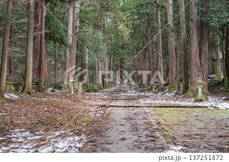 福井の平泉寺白山神社 福井の平泉寺白山神社 137251872