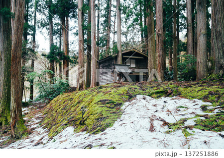 福井の平泉寺白山神社 福井の平泉寺白山神社 137251886