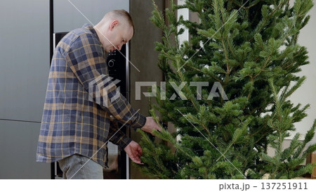 Modern apartment resident wrapping christmas tree with string lights, crafting cozy holiday ambiance and embracing seasonal cheer Modern apartment resident wrapping christmas tree with string lights, crafting cozy holiday ambiance and embracing seasonal cheer 137251911