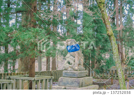 平泉寺白山神社 平泉寺白山神社 137252038