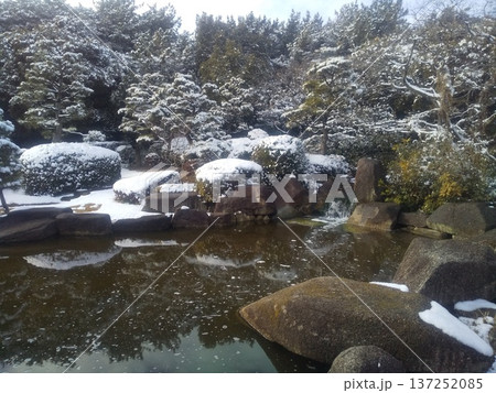 稲毛海浜公園奥浜の池の雪景色 稲毛海浜公園奥浜の池の雪景色 137252085