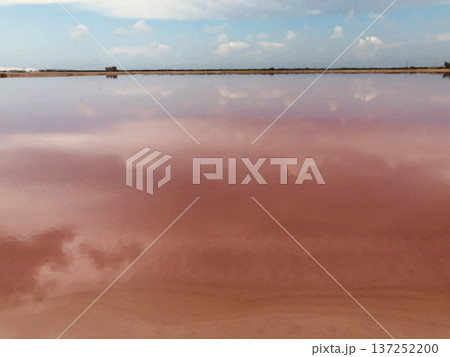 《メキシコ》ピンクラグーン 137252200