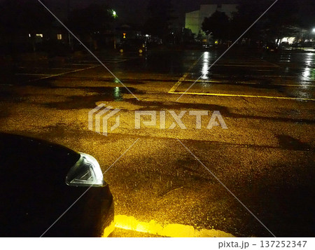 雨天時に活躍する黄色いフォグランプ 雨天時に活躍する黄色いフォグランプ 137252347