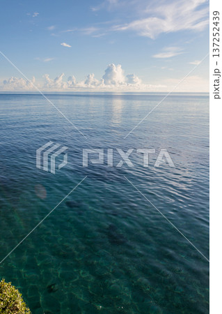 透明な南国の海と水平線に広がる積雲の風景 137252439