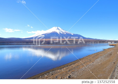 山中湖 長池親水公園からの富士山 137252558