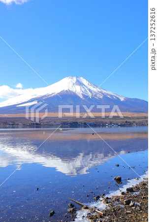 山中湖 長池親水公園からの富士山 137252616