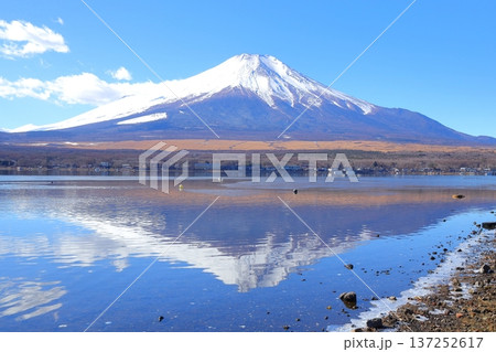 山中湖 長池親水公園からの富士山 137252617