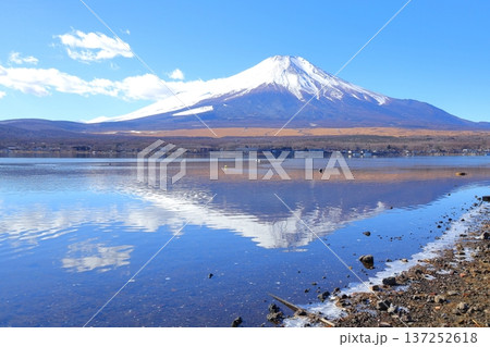 山中湖 長池親水公園からの富士山 137252618