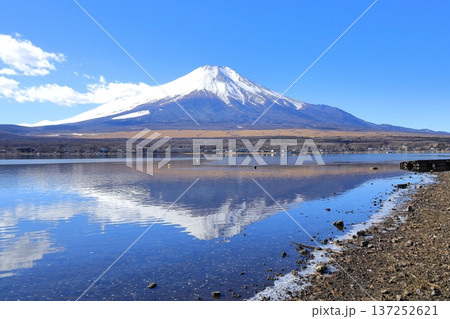 山中湖 長池親水公園からの富士山 山中湖 長池親水公園からの富士山 137252621