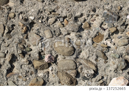 アースカラーが美しい粗い洗い出し仕上げ 137252665