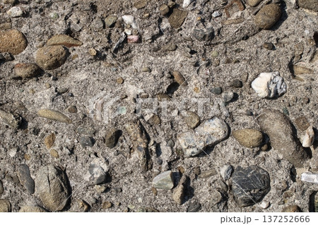 シンプルで無骨な粗い洗い出しの壁面 137252666