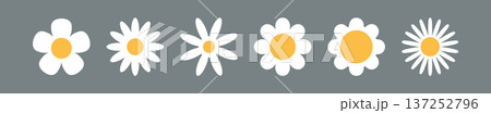 Flower chamomile vector icon. Cartoon camomile white retro spring floral icon design set Flower chamomile vector icon. Cartoon camomile white retro spring floral icon design set 137252796