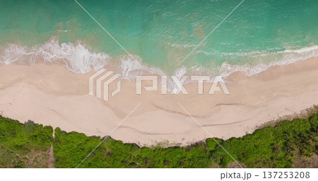 Pristine tropical beach and turquoise ocean water with white foamy waves crashing on the shore, bordered by lush green vegetation. Lombok tropical island. Natural background. Aerial top down view Pristine tropical beach and turquoise ocean water with white foamy waves crashing on the shore, bordered by lush green vegetation. Lombok tropical island. Natural background. Aerial top down view 137253208