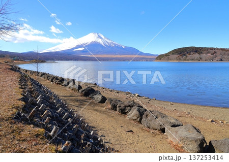 山中湖交流プラザ きららから見た富士山 山中湖交流プラザ きららから見た富士山 137253414