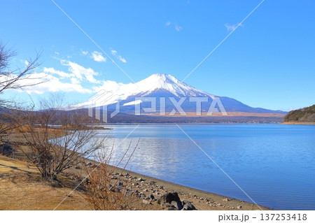 山中湖交流プラザ きららから見た富士山 137253418
