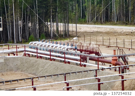 Oil refinery Construction of an oil industrial facility 137254032