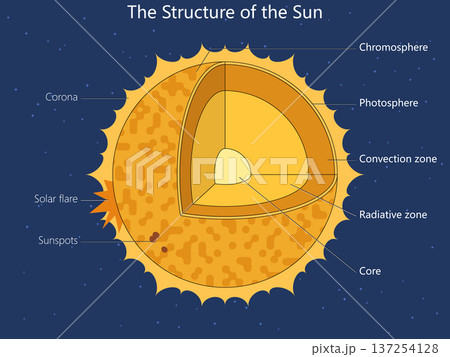 Structure of the Sun Layers Diagram science Structure of the Sun Layers Diagram science 137254128