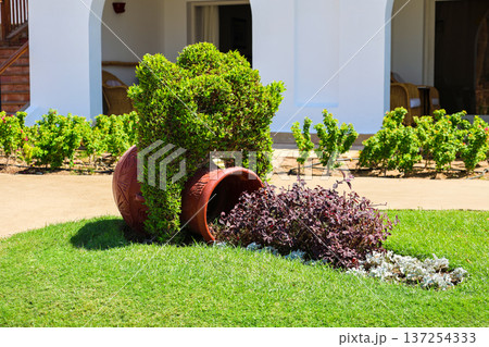 A garden plant arrangement in the form of a vase, jug and bushes 137254333