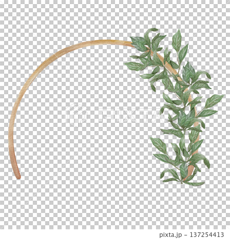 Watercolor illustration Wedding collection Metallic gold round arch with greenery and leaves for decoration PNG transparent background Hand drawing Vintage Watercolor illustration Wedding collection Metallic gold round arch with greenery and leaves for decoration PNG transparent background Hand drawing Vintage 137254413