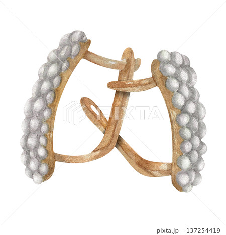 Watercolor illustration Wedding collection Gold earrings with diamond and pearl PNG transparent background Hand drawing Vintage Watercolor illustration Wedding collection Gold earrings with diamond and pearl PNG transparent background Hand drawing Vintage 137254419