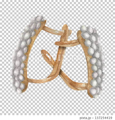 Watercolor illustration Wedding collection Gold earrings with diamond and pearl PNG transparent background Hand drawing Vintage Watercolor illustration Wedding collection Gold earrings with diamond and pearl PNG transparent background Hand drawing Vintage 137254419