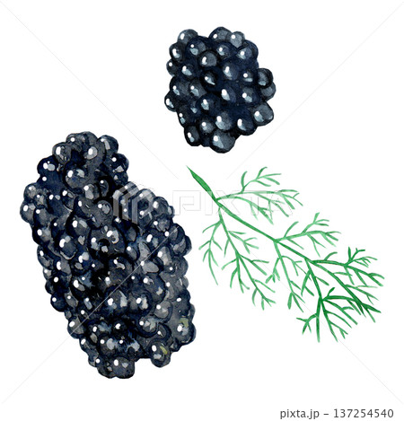 Delicious sturgeon black caviar with a sprig of dill Delicious sturgeon black caviar with a sprig of dill 137254540