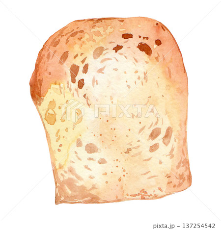 Cross-section of crispy and aromatic drawing bread Cross-section of crispy and aromatic drawing bread 137254542