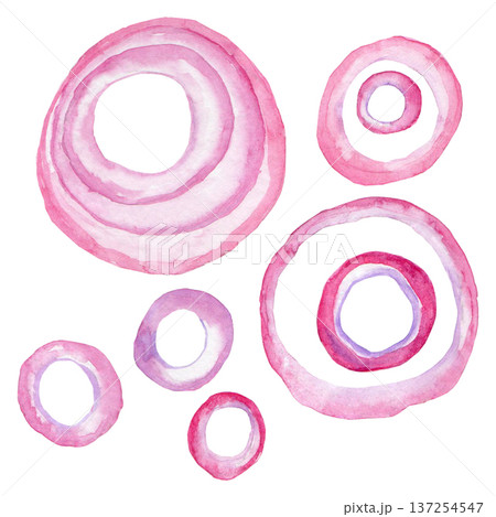 Rings of red sweet watercolour onion Rings of red sweet watercolour onion 137254547