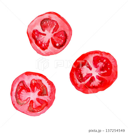 Fresh and fragrant watercolor tomato 137254549