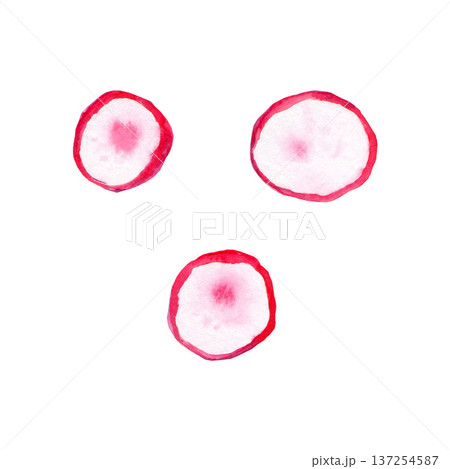 Fresh radishes cut crosswise into three slices 137254587