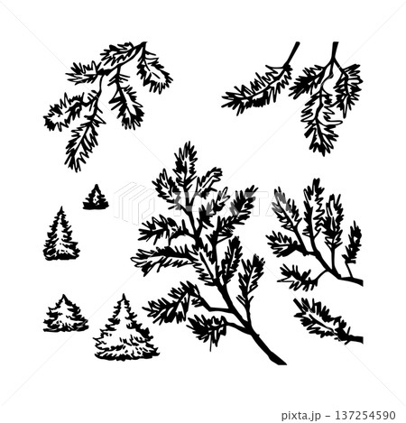 Set of vector fir branches with fir trees 137254590