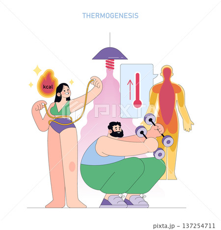 A colorful vector illustration of people engaging in thermogenic activities like jumping rope and weight lifting, visualizing heat production in the body to burn calories effectively. A colorful vector illustration of people engaging in thermogenic activities like jumping rope and weight lifting, visualizing heat production in the body to burn calories effectively. 137254711