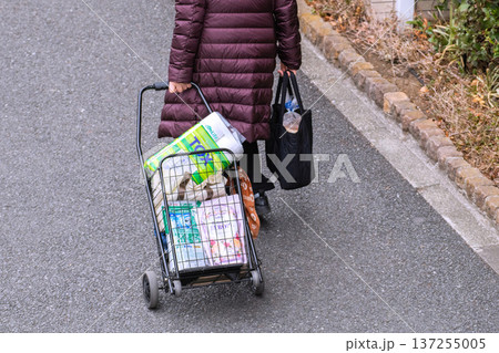 日本の横浜都市景観マイバッグ(エコバッグ)やカート…高齢化社会…高齢女性(マスク姿)の買い物帰り… 日本の横浜都市景観マイバッグ(エコバッグ)やカート…高齢化社会…高齢女性(マスク姿)の買い物帰り… 137255005