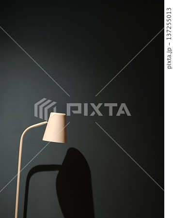 Minimalist Beige Floor Lamp with Shadow on Dark Teal Wall 137255013