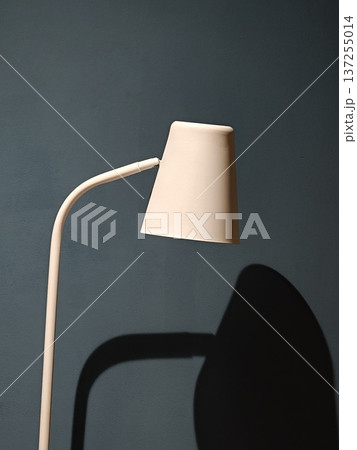 Minimalist Floor Lamp and Shadow Silhouette on Teal Wall 137255014