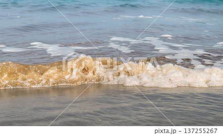 Close-up of a foamy wave cresting on a sandy shore, creating a dynamic and textured scene by the ocean. 137255267